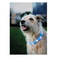 TRIXIE LED antkaklis USB, platus, silikonas, M-L: 50 cm/30 mm, mėlynas (pak.2) — 4 nuotrauka