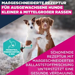 Eukanuba Premium Nutrition Adult Small & Medium Breed su ėriena ir ryžiais, sausas maistas šunims, 3 - 4,9 kg — 4 nuotrauka
