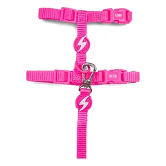Dashi Neon Pink Katės Pakinktai + Pavadėlis - nailono pakinktų ir pavadėlio rinkinys katėms, neoninė rožinė