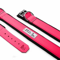 Bestia Dog Sport Hundehalsband