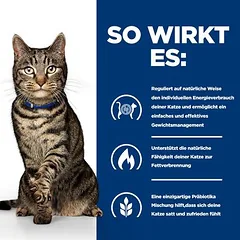 Hill's Prescription Diet Metabolic svorio ir diabeto kontrolė su lašiša, sausas maistas katėms, 3 - 4,9 kg — 5 nuotrauka