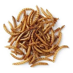 PRODAC Mealworms džiovinti milčiai 250ml