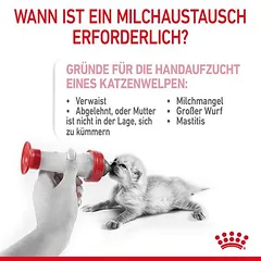 Royal Canin Babycat Milk papildas katėms — 4 nuotrauka
