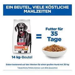 Hill's Science Plan Perfect Digestion Adult Large su vištiena ir rudaisiais ryžiais, sausas maistas šunims — 5 nuotrauka