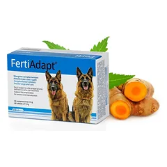 DOGOTEKA FertiAdapt 60tabl.
