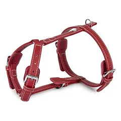 Das Lederband Geschirr Barcelona Indian-Red