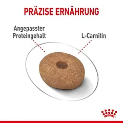 Royal Canin Mini Light Weight Care sausas maistas šunims, 5 - 9,9 kg — 5 nuotrauka