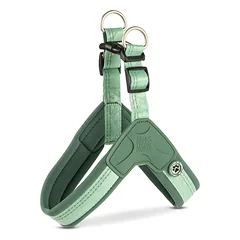 Max&Molly Q - Fit Harness Matrix 2.0 Jade - lengvi šunų pakinktai, su QR identifikatoriumi