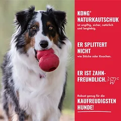 KONG Classic žaislas + 80 g Fleischeslust meat & treat treniruočių dešrelė dovanų!, 80 - 124 g — 4 nuotrauka