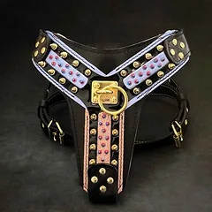 Bestia Hundegeschirr Candy