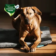 Manuly Set | Hunde Isomatte mit Langhaar (anthrazit) Bezug