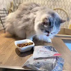 Platinum MeatCrisp sausas maistas sterilizuotoms katėms su žuvimi, 3 kg — 3 nuotrauka