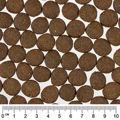 Greenwoods sausas maistas šunims, ekonominė pakuotė 2 x 12 kg — 5 nuotrauka
