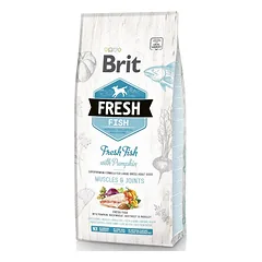 Brit Fresh Fish with Pumpkin Adult Large sausas pašaras šunims