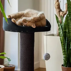 Ecomfy draskyklė Alex, su lentyna, pilka, 67.5cm — 3 nuotrauka