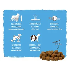 bosch Medium Junior, > 10 kg — 5 nuotrauka