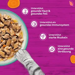 Didelė pakuotė Whiskas Tasty Mix porcijų paketėliai 96 x 85 g, drėgnas maistas katėms — 4 nuotrauka