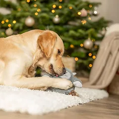 Trixie minkštas žaislas šunims sniego žmogus, cypsi, pilkas — 3 nuotrauka