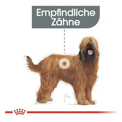 Royal Canin CCN Dental Care Maxi sausas maistas šunims — 4 nuotrauka