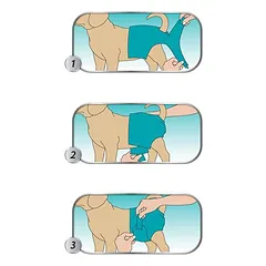 Simple Solution daugkartinės sauskelnės kalytėms, XL — 4 nuotrauka