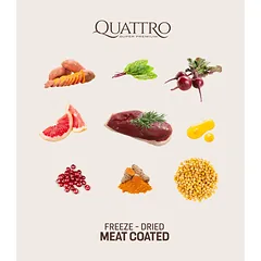 Quattro begrūdis visų veislių suaugusių šunų pašaras su ėrienos monoproteinu, 3 kg — 3 nuotrauka
