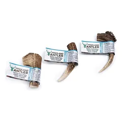 Elnio ragas šunims – Highland Antler – S dydis 50-75 g — 2 nuotrauka