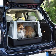 Ferplast automobilinė transportavimo dėžė katėms Atlas Car, Labai mažiems < 4 kg — 2 nuotrauka