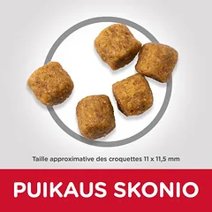 Hill’s Science Plan sausas maistas senyviems šunims su ėriena ir ryžiais 14 kg — 2 nuotrauka