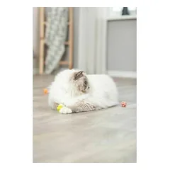 „Trixie“ gumbuotų guminių kamuoliukų žaislų rinkinys katėms 3,5 cm, 4 vnt. — 4 nuotrauka
