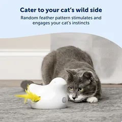 PetSafe® Peek-a-Bird elektroninis žaislas katėms, 1 vnt. — 2 nuotrauka