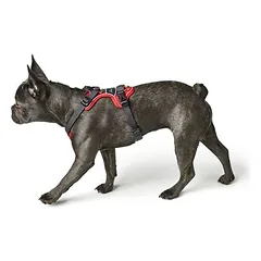 HUNTER petnešos Divo, raudonos/pilkos, Vidutiniams 11–25 kg — 4 nuotrauka