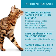 OPTIMEAL ™ konservuotas pašaras suaugusioms katėms su upėtakiu kreminiame padaže 12x0.085 kg — 2 nuotrauka