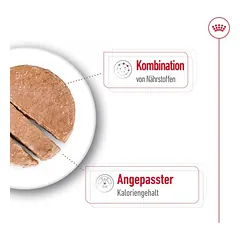 Royal Canin Mini Ageing Mousse drėgnas maistas šunims — 4 nuotrauka