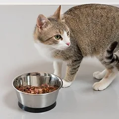 Modern Living tvirtinamas dubenėlis katėms Denver, sidabrinis, 1,2 l, Ø 17 cm — 4 nuotrauka