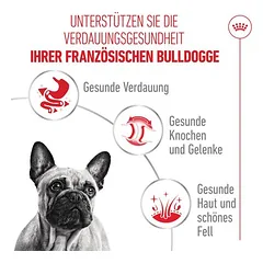 Royal Canin French Bulldog Loaf drėgnas maistas šunims — 2 nuotrauka