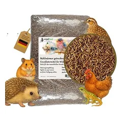 Getrocknete Mehlwürmer Futtermittel