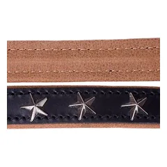 Heim parodų pavadėlis Stars, Dideliems 26–45 kg — 3 nuotrauka
