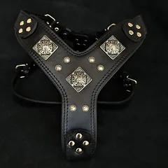 Bestia Hundegeschirr Eros