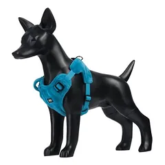 Rukka petnešos Tiny, mėlynos, Labai mažiems < 4 kg — 2 nuotrauka