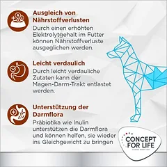 Concept for Life Veterinary Diet Gastrointestinal drėgnas maistas šunims — 4 nuotrauka