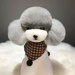 Mr. Jiang Teddy galvos kailis - keičiama kailio dalis Teddy kirpimo galvai, pilka su balta snukio dalimi