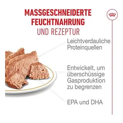 Royal Canin French Bulldog Loaf drėgnas maistas šunims — 3 nuotrauka