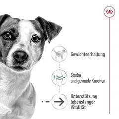 Royal Canin Mini Ageing Mousse drėgnas maistas šunims — 3 nuotrauka