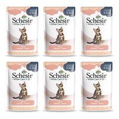 SCHESIR Vištienos filė kačiukams 6x85 g