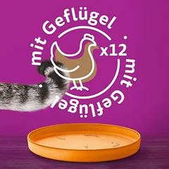 Whiskas 1+ drėgnas maistas katėms, konservai 12 x 400 g — 5 nuotrauka