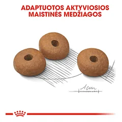ROYAL CANIN Light weight care mini sausas maistas šunims turintiems viršsvorio 1 kg — 5 nuotrauka