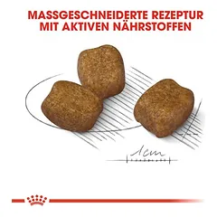 Royal Canin Mini Dental Care sausas maistas šunims, 3 - 4,9 kg — 3 nuotrauka