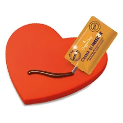 DoggyeBag LOVE BISCUIT Dekoruojamas sausainis 11x10x0.5cm (pak6) — 3 nuotrauka