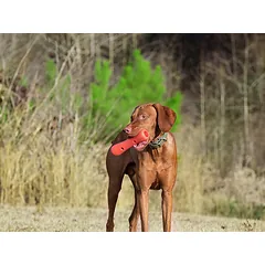 Dexas Off-Leash Tumbler - šunų žaislas su karabinu — 2 nuotrauka