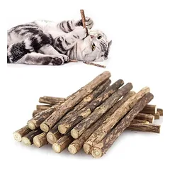 Zoomtopia Lot 10 bâtons dentaires silvervine pour chat naturels